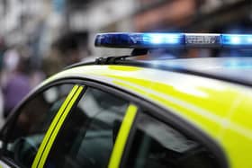A two-year-old girl has died after being hit by a car at a holiday park in Littleport on Friday.
