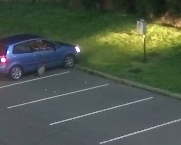 Ellis Anthony Gibbs dropping litter out of his car window in a car park in Hull. The teenager was fined £250.