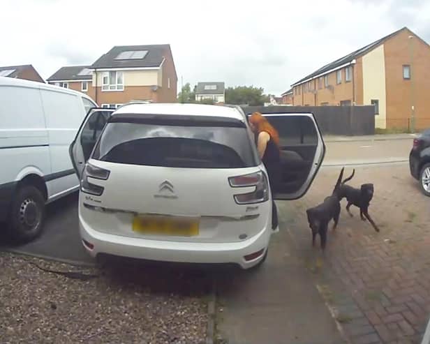 CCTV capturing the moment two dogs enter a family home in Chelmsley Wood, Birmingham, and savage two cats to death.