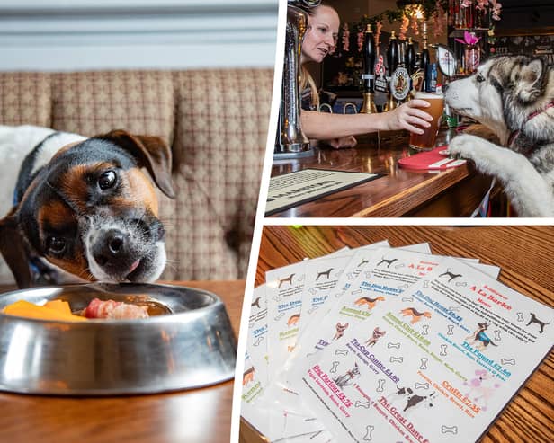 The Bellflower in Garstang, Lancashire, has become a go-to pub for dog lovers