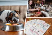 The Bellflower in Garstang, Lancashire, has become a go-to pub for dog lovers