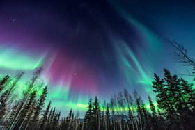 Northern Lights