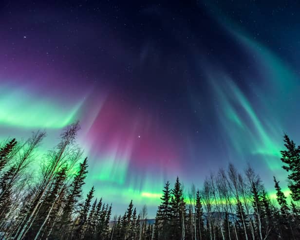 Northern Lights