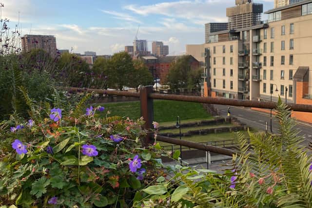 The flowers and progress of Manchester 