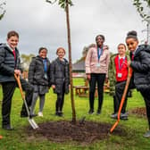 Pupils at a St Willibrord’s RC Primary School in Clayton are among the latest residents to enjoy the fruits of a citywide tree planting campaign.