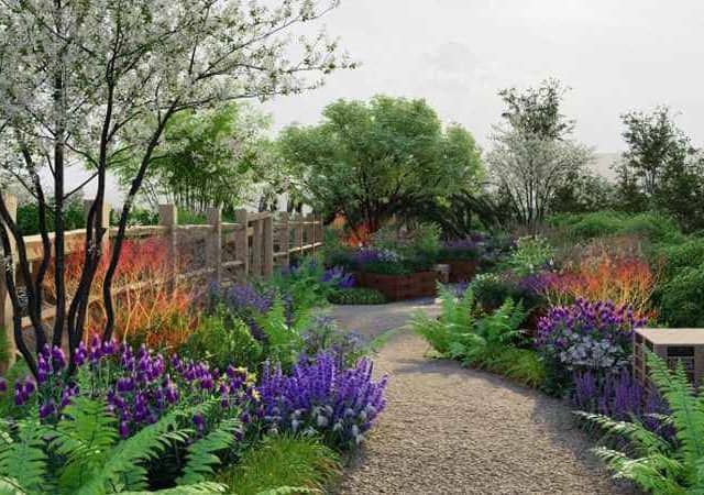 The new garden at Hollingworth Lake Country Park (Photo: Rochdale Borough Council) 