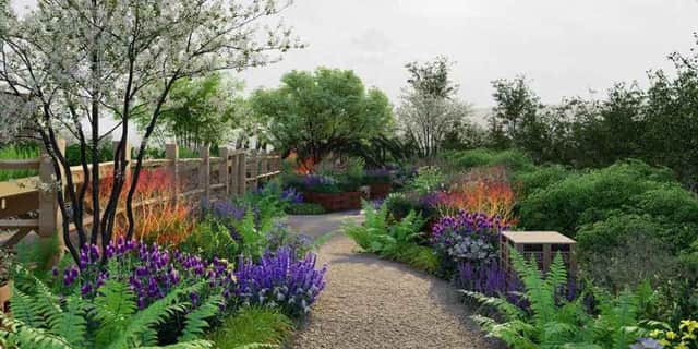 The new garden at Hollingworth Lake Country Park (Photo: Rochdale Borough Council)