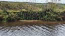 Residents in Littleborough, Rochdale have identified "pollution" in Rochdale Canal next to the site of a former chemical works. Picture: Adrian Griffiths. 