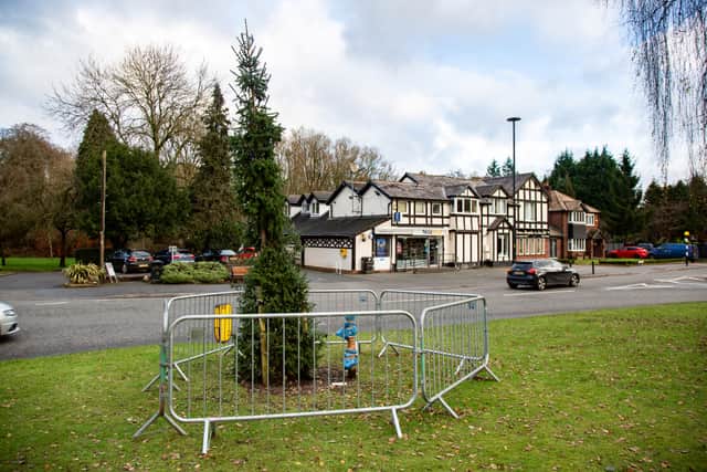 A threadbare decorated Christmas tree on a major roundabout has been planted and Bramhall locals have compared the wonky tree to Leaning Tower Of Pisa. 