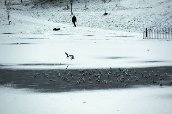 A person walks through an icy park.