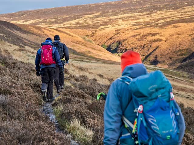 Walkers on the GM Ringway