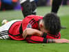 'Back soon' - Man Utd defender sends message to Lisandro Martinez after crushing injury blow