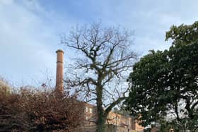 Quarry Bank Mill is where nature met industry 