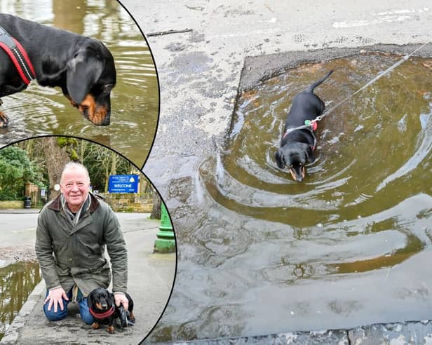 The huge pothole on Trinity Close in Stratford-upon-Avon, in front of the Holy Trinity Parish Centre and opposite to the Holy Trinity Church entrance. Local resident Matt Beacham, 57, with his sausage dog Richmond (inset).