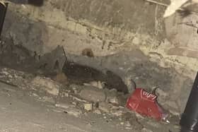 Rat faeces can be seen in the loft space of Jane\'s Little Hulton home