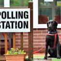 Plenty of dogs will be joining owners at polling stations in Greater Manchester on May 2