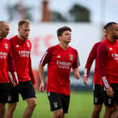 Joao Neves (C) and teammates attend a training session at the Benfica Campus