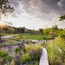 Mayfield Park is one of the locations on the new Manchester Green Trail. Credit: Richard Bloom