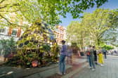 The Manchester Flower Festival will returns over the May bank holiday weekend