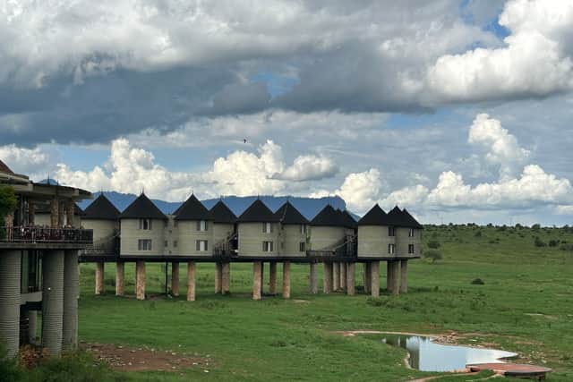 Salt Lick Safari Lodge is like nowhere else you'll ever stay (Photo: Amber Allott/NationalWorld)