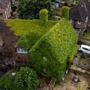 The extraordinary virginia creeper covered house in Bromley, South London which has become a local landmark with tourists stopping to take photos outside it. 