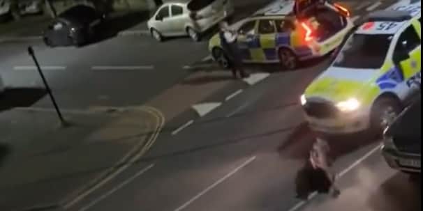A still from a video uploaded by X account UB1UB2 West London (Southall) of a cow being rammed by a police car in Feltham on June 14, 2024.