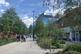Linear Park in the Oldham sun on the day we visited 