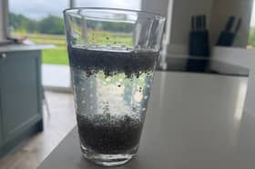 Tadpole Water after 2 hours