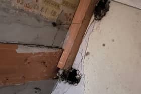 A ForHousing property in Boothstown, Salford where rats have chewed holes through the ceiling of the bedroom. 