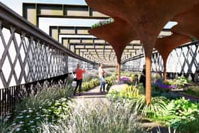 Phase two plans include the relocation of WaterAid’s Gold medal-winning garden from this year’s RHS Chelsea Flower Show. Picture: Twelve Architects
