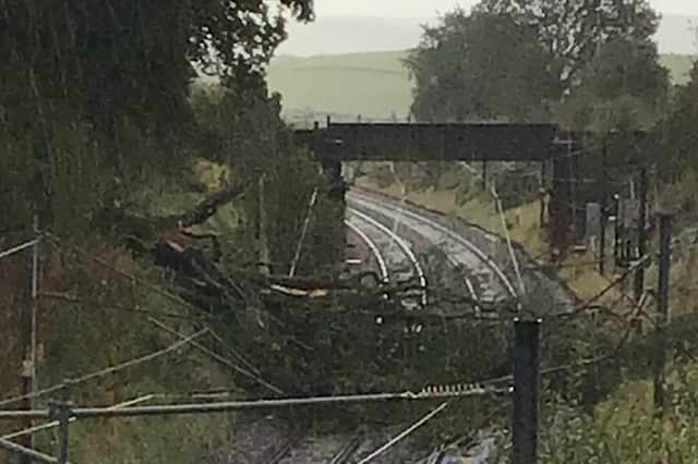 Passengers are being advised not to travel north of Preston due to a tree being caught in the overhead electric wires between Motherwell and Lockerbie, which is blocking all lines.