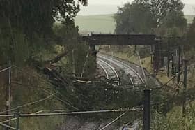 Passengers are being advised not to travel north of Preston due to a tree being caught in the overhead electric wires between Motherwell and Lockerbie, which is blocking all lines.