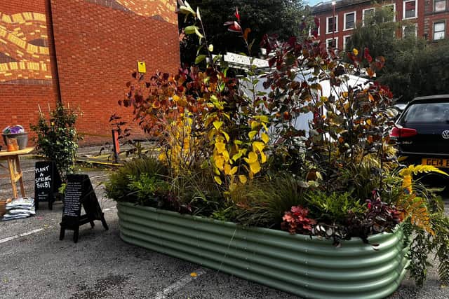 Plant pop-up in Chinatown carpark.