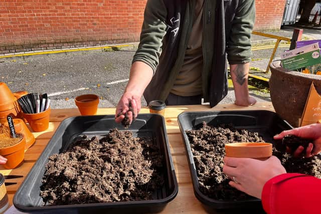 Plant pop-up in Chinatown carpark.