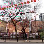 The Plant MCR and Clean Cities event centred around the Chinatown car park. 