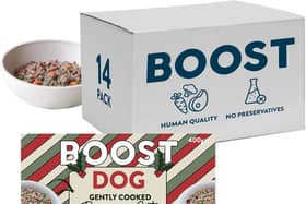 Boost's Christmas Turkey dinner is one of a range of healthy dog foods