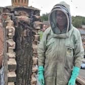 The bee colony found at an Royal Bolton Hospital office building