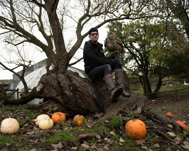 Bailey Lister with an owl at Hugo's Animal Sanctuary, located at Ridgeway Farm in Blackpool