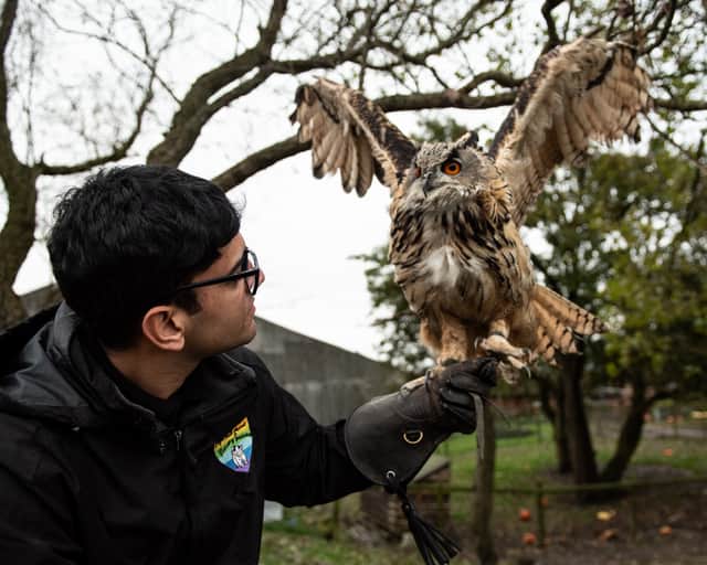 Bailey Lister with an owl at Hugo's Animal Sanctuary, located at Ridgeway Farm in Blackpool