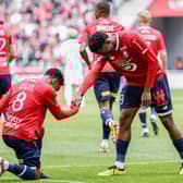Angel Gomes and Jonathan David could leave Lille as free agents.