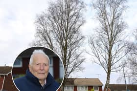 Worcester City Council insists the tree in Columbia Drive poses no immediate risk and has issued a protection order for it. Inset: Chris Davis 