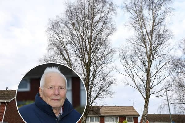 Worcester City Council insists the tree in Columbia Drive poses no immediate risk and has issued a protection order for it. Inset: Chris Davis 