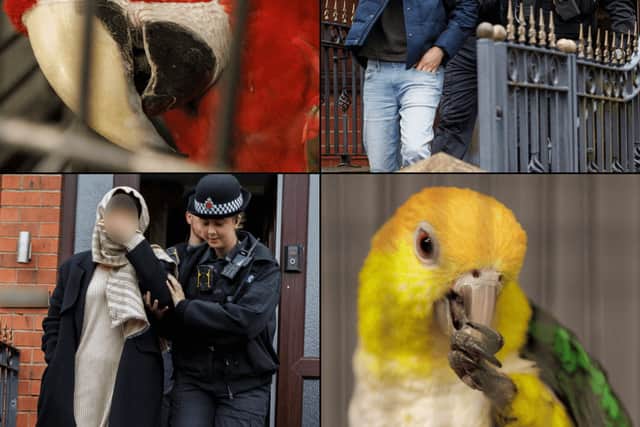 Police seize 25 endangered parrots during Bury raid