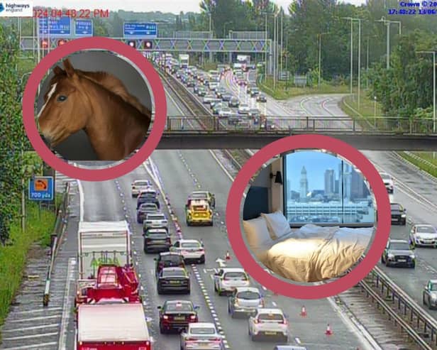 It's not every day you see a horse/a bed on a motorway while driving to work. 