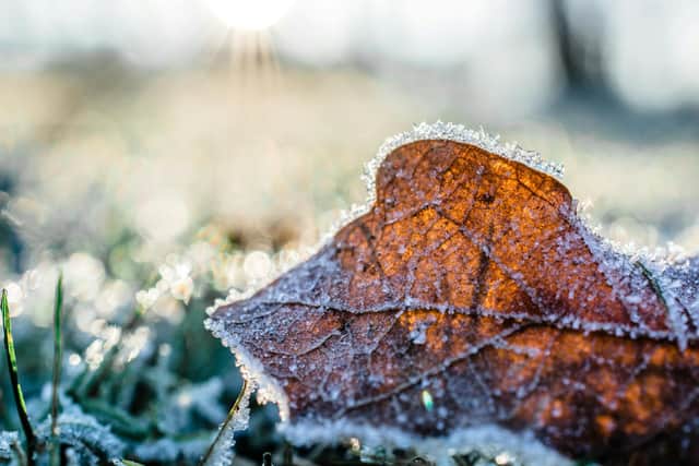 A yellow weather warning for ice has been issued for parts of the UK this Thursday.