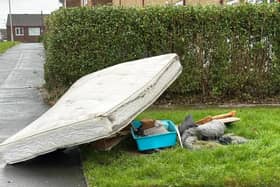 Litter and fly-tipping in Stockport is reaching epidemic level, councillors have warned