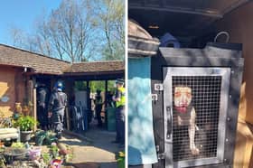 An unregistered XL Bully has been seized at a Birchwood address days after a Warrington man died from an attack from another one. 