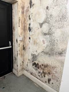 The damage caused by damp at the Manchester City Centre flats where a paddling pool was used to fix a leak