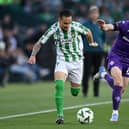 Antony of Real Betis is challenged by Robin Gosens of Fiorentina during the UEFA Conference League 2024/25 Semi Final First Leg match between Real Betis Balompie and ACF Fiorentina at Estadio Benito Villamarin on May 01, 2025 in Seville, Spain. 