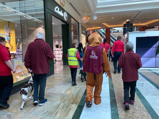 Hearing dog puppy parade at the Trafford Centre